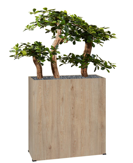 Afbeeldingen van Bosco plantenbak in hout - met bonzaï in semi-natural - op wieltjes - hoogte bak: 74 cm