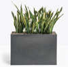 Afbeeldingen van Kado - plantenbak in polyethylene - H 100 cm